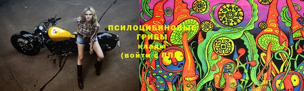 скорость Аркадак