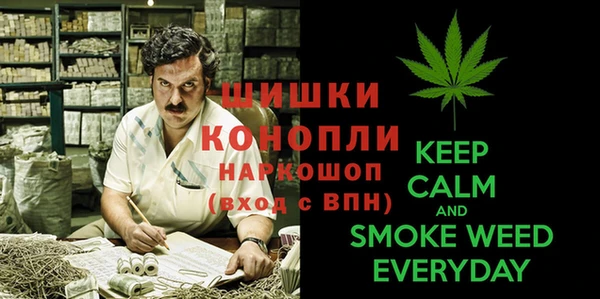 винт Алзамай