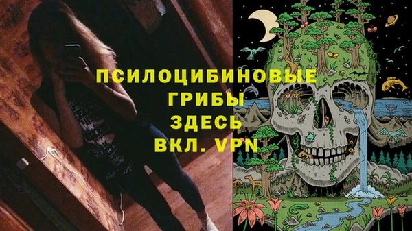 таблы Арсеньев