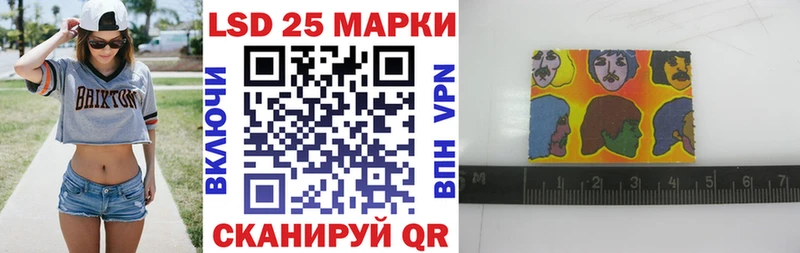 Купить где Сунжа Марки N-bome 1500мкг