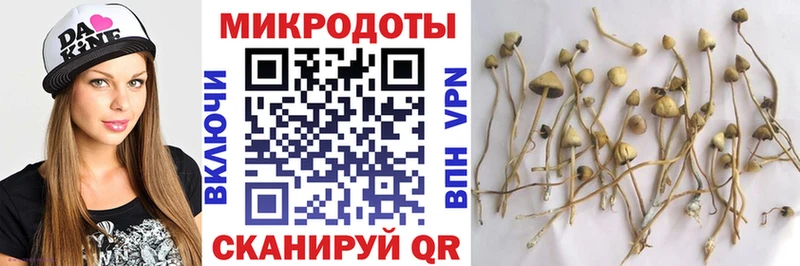 Галлюциногенные грибы мухоморы  Купить где  Сунжа 