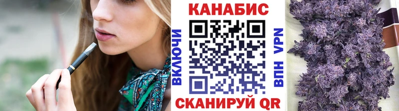 Купить  Сунжа  Каннабис сатива 